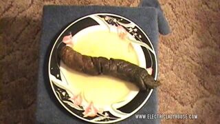 A poo log on a plate.., ScatKings.com Scat Porn 11 ScatKings.com Scat Porn