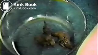 Amerikansk_mature_skiter_2, ScatKings.com Scat Porn 13 ScatKings.com Scat Porn