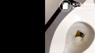 Blonde Girl Public Toilet Poop, ScatKings.com Scat Porn 15 ScatKings.com Scat Porn