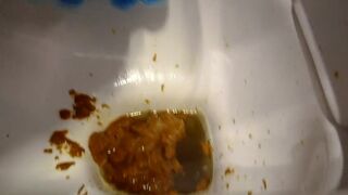 Diarrea on toilet, ScatKings.com Scat Porn 13 ScatKings.com Scat Porn