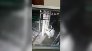 Girl pooping cctv, ScatKings.com Scat Porn 17 ScatKings.com Scat Porn