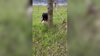 IG Model takes a dump outside, ScatKings.com Scat Porn 13 ScatKings.com Scat Porn