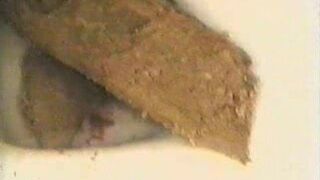 NewModel Pooping 83, ScatKings.com Scat Porn 22 ScatKings.com Scat Porn