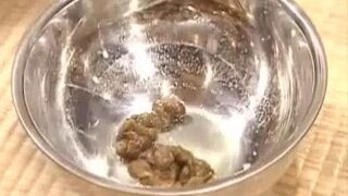 Not A Porno Video (Restaurant), ScatKings.com Scat Porn 10 ScatKings.com Scat Porn