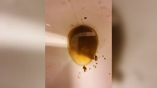 Soft afternoon shit., ScatKings.com Scat Porn 7 ScatKings.com Scat Porn