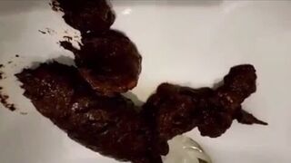 nice logs, ScatKings.com Scat Porn 17 ScatKings.com Scat Porn