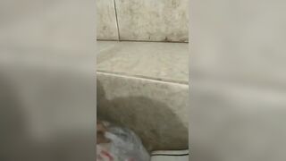 中国女王正在为他的厕奴准备食物, ScatKings.com Scat Porn 2 ScatKings.com Scat Porn